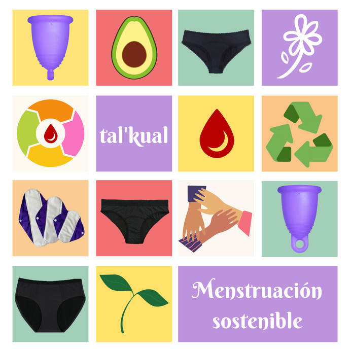 ¿Por qué una menstruación sostenible?